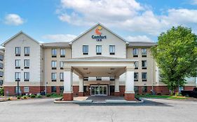 Comfort Inn East Indianapolis In